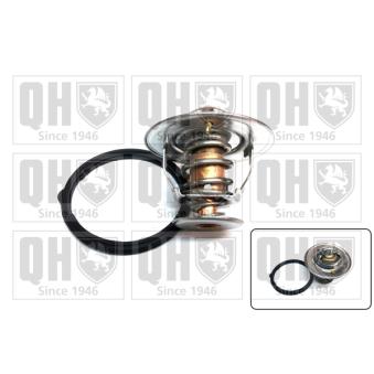Thermostat d'eau QUINTON HAZELL OEM 255002E000