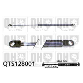 Vérin de hayon, de coffre QUINTON HAZELL QTS128001