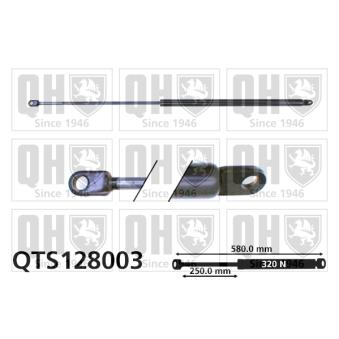 Vérin de hayon, de coffre QUINTON HAZELL QTS128003 pour CITROEN CX 2500 D - 75cv