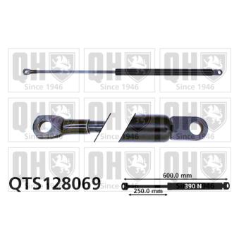 Vérin de hayon, de coffre QUINTON HAZELL QTS128069 pour FIAT 127 0.9 - 45cv