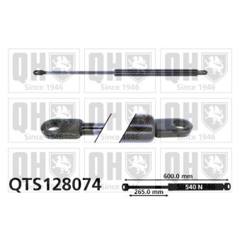 Vérin de hayon, de coffre QUINTON HAZELL QTS128074 pour FIAT RITMO 60 1.1 - 58cv