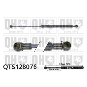 Vérin de hayon, de coffre QUINTON HAZELL OEM 90127136