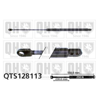 Vérin de hayon, de coffre QUINTON HAZELL [QTS128113]