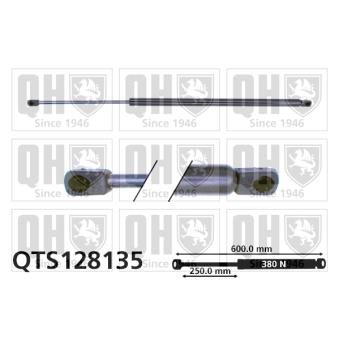 Vérin de hayon, de coffre QUINTON HAZELL QTS128135 pour CITROEN ZX 1.9 D - 68cv