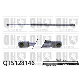 Vérin de hayon, de coffre QUINTON HAZELL QTS128146 pour CITROEN ZX 1.9 D - 68cv
