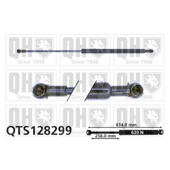 Vérin de hayon, de coffre QUINTON HAZELL OEM 132696 Vérin de hayon, de coffre QUINTON HAZELL OEM 132696