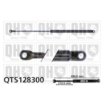 Vérin de hayon, de coffre QUINTON HAZELL [QTS128300]