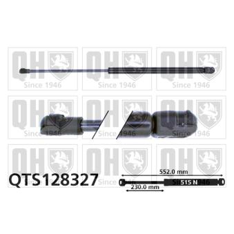 Vérin de hayon, de coffre QUINTON HAZELL OEM 6764342