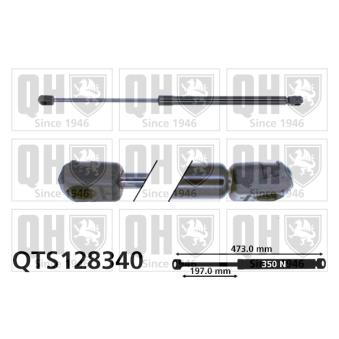 Vérin de hayon, de coffre QUINTON HAZELL [QTS128340]