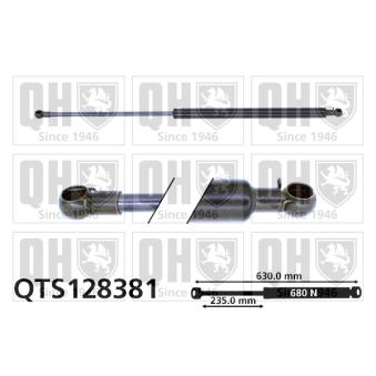 Vérin de hayon, de coffre QUINTON HAZELL OEM 96026964