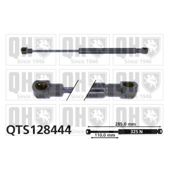 Vérin de hayon, de coffre QUINTON HAZELL QTS128444 pour PEUGEOT 306 1.8 16V - 110cv