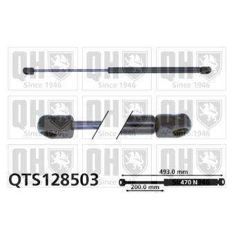 Vérin de hayon, de coffre QUINTON HAZELL QTS128503 pour FIAT SCUDO 1.9 TDI - 110cv