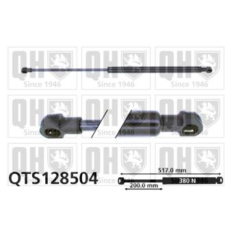 Vérin de hayon, de coffre QUINTON HAZELL QTS128504 pour BMW Série 3 318 i - 116cv