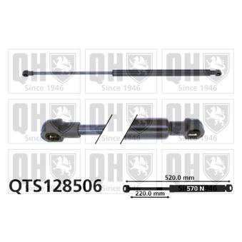 Vérin de hayon, de coffre QUINTON HAZELL OEM 46524047 Vérin de hayon, de coffre QUINTON HAZELL OEM 46524047