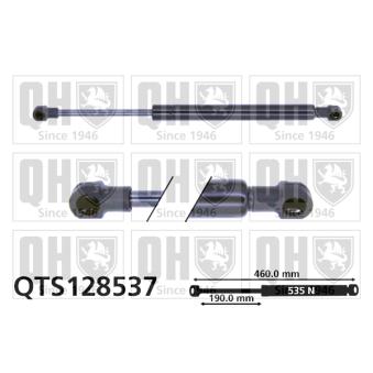 Vérin, capot-moteur QUINTON HAZELL QTS128537 pour MERCEDES-BENZ CLASSE E E 430 T 4-matic - 279cv