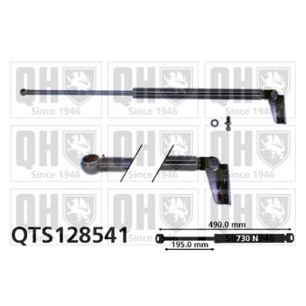 Vérin de hayon, de coffre QUINTON HAZELL [QTS128541]