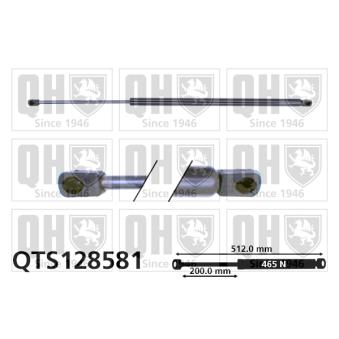 Vérin de hayon, de coffre QUINTON HAZELL OEM 90158125