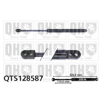 Vérin de hayon, de coffre QUINTON HAZELL QTS128587 pour ALFA ROMEO ALFASUD 1.3 - 76cv Vérin de hayon, de coffre QUINTON HAZELL QTS128587 pour ALFA ROMEO ALFASUD 1.3 - 76cv