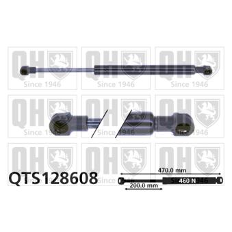 Vérin de hayon, de coffre QUINTON HAZELL QTS128608 pour RENAULT MEGANE 1.6 16V - 107cv