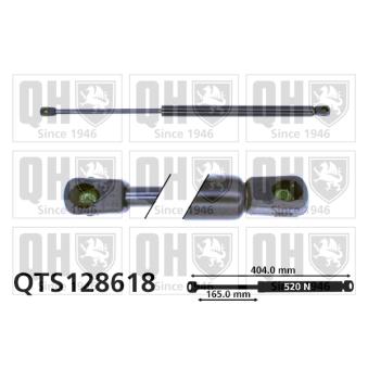 Vérin de hayon, de coffre QUINTON HAZELL QTS128618 pour AUDI TT 1.8 T - 190cv