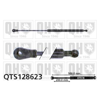 Vérin de hayon, de coffre QUINTON HAZELL QTS128623 pour DACIA DUSTER 1.6 - 110cv Vérin de hayon, de coffre QUINTON HAZELL QTS128623 pour DACIA DUSTER 1.6 - 110cv