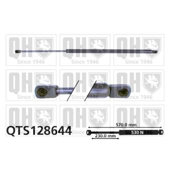 Vérin de hayon, de coffre QUINTON HAZELL QTS128644 pour ROVER 800 825 SI/Sterling - 167cv