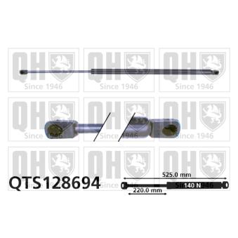 Vérin, vitre arrière QUINTON HAZELL OEM 8731G4