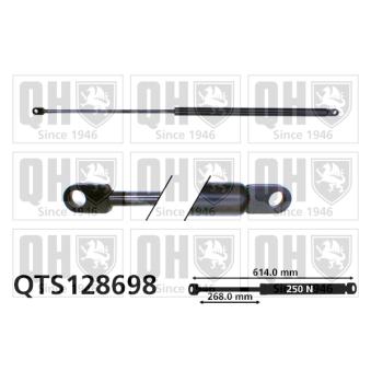 Vérin, capot-moteur QUINTON HAZELL QTS128698 pour ALFA ROMEO 164 2.5 TD - 114cv