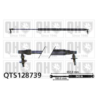 Vérin de hayon, de coffre QUINTON HAZELL [QTS128739]