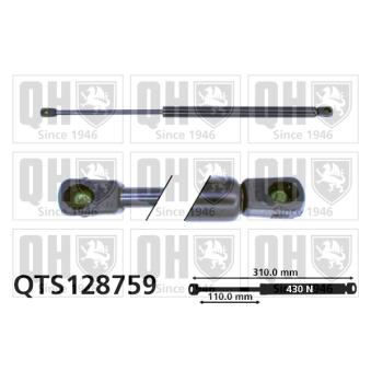 Vérin, capot-moteur QUINTON HAZELL QTS128759 pour PEUGEOT 407 2.0 Bioflex - 140cv Vérin, capot-moteur QUINTON HAZELL QTS128759 pour PEUGEOT 407 2.0 Bioflex - 140cv