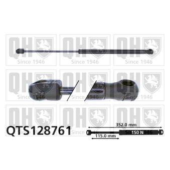 Vérin, vitre arrière QUINTON HAZELL QTS128761