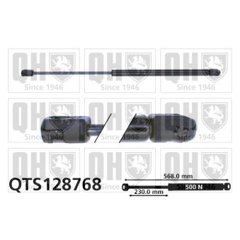 Vérin de hayon, de coffre QUINTON HAZELL OEM 4854733