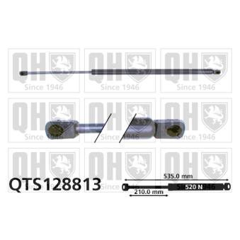 Vérin de hayon, de coffre QUINTON HAZELL OEM 1S71A406A10BB
