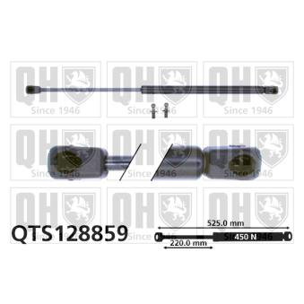 Vérin de hayon, de coffre QUINTON HAZELL OEM 115740264 Vérin de hayon, de coffre QUINTON HAZELL OEM 115740264