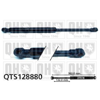 Vérin de hayon, de coffre QUINTON HAZELL OEM 30649439