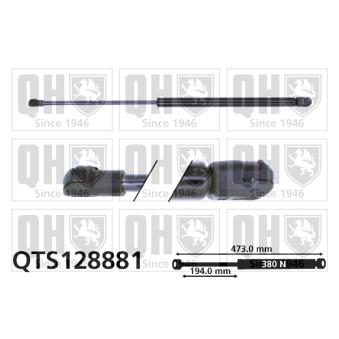 Vérin de hayon, de coffre QUINTON HAZELL QTS128881 pour OPEL COMBO 3.0 - 196cv