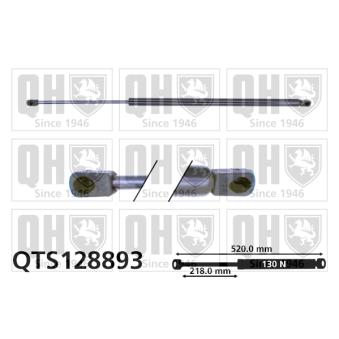 Vérin, vitre arrière QUINTON HAZELL OEM 8200135264 Vérin, vitre arrière QUINTON HAZELL OEM 8200135264