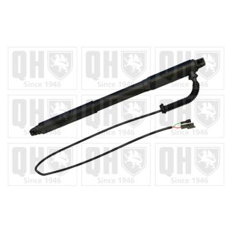 Moteur électrique, hayon QUINTON HAZELL OEM 51244887651