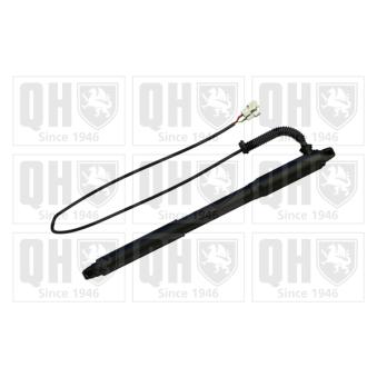 Moteur électrique, hayon QUINTON HAZELL OEM 51247286116