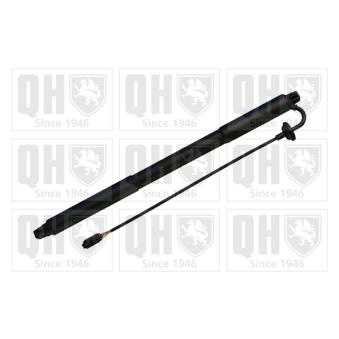 Moteur électrique, hayon QUINTON HAZELL QTS728026