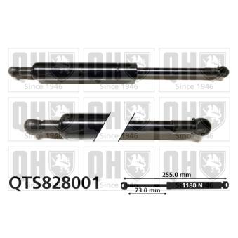 Vérin de hayon, de coffre QUINTON HAZELL OEM 50508010