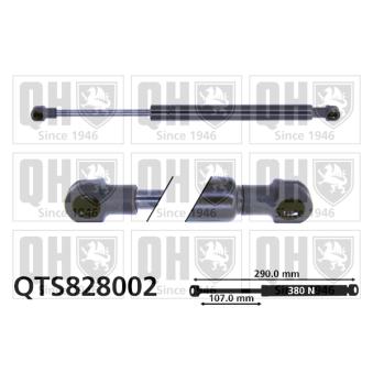 Vérin de hayon, de coffre QUINTON HAZELL OEM 60680087