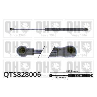 Vérin de hayon, de coffre QUINTON HAZELL OEM 50515442