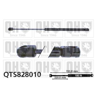 Vérin de hayon, de coffre QUINTON HAZELL QTS828010 pour OPEL CROSSLAND X 4.2 quattro - 335cv