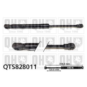 Vérin, capot-moteur QUINTON HAZELL OEM 8J0823359C