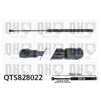 Vérin de hayon, de coffre QUINTON HAZELL [QTS828022]