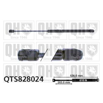 Vérin de hayon, de coffre QUINTON HAZELL OEM 8731P4