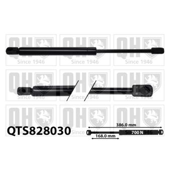 Vérin de hayon, de coffre QUINTON HAZELL QTS828030 pour CHEVROLET REZZO 1.6 - 105cv