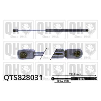 Vérin de hayon, de coffre QUINTON HAZELL QTS828031 pour RENAULT TWINGO 1.4 - 94cv