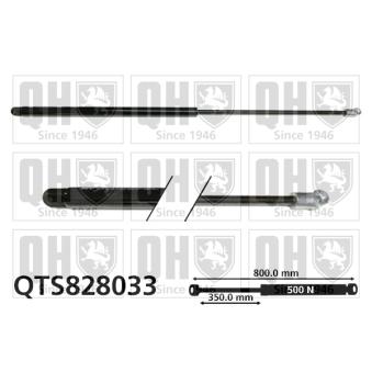 Vérin de hayon, de coffre QUINTON HAZELL QTS828033 pour FIAT DUCATO 2.5 D 4x4 - 75cv